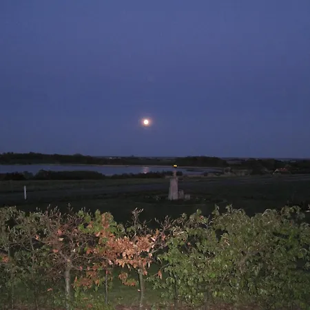 Casa vacanze Bed And Birds Skibby