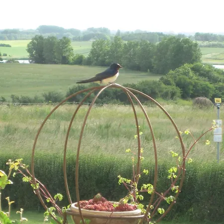 Bed & Breakfast Bed And Birds