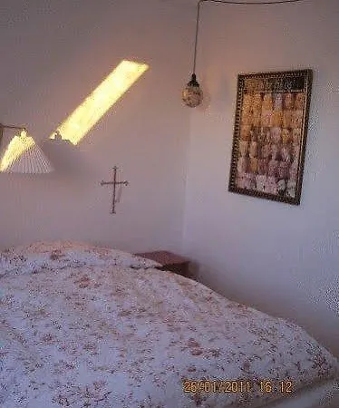 Bed And Birds *