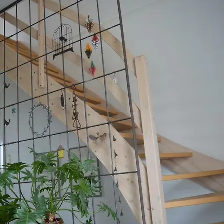 Bed And Birds *