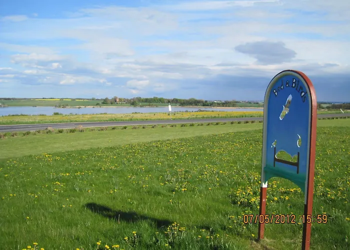 Bed And Birds Skibby