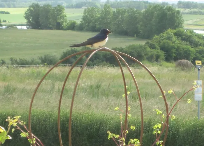 Hébergement de vacances Bed And Birds