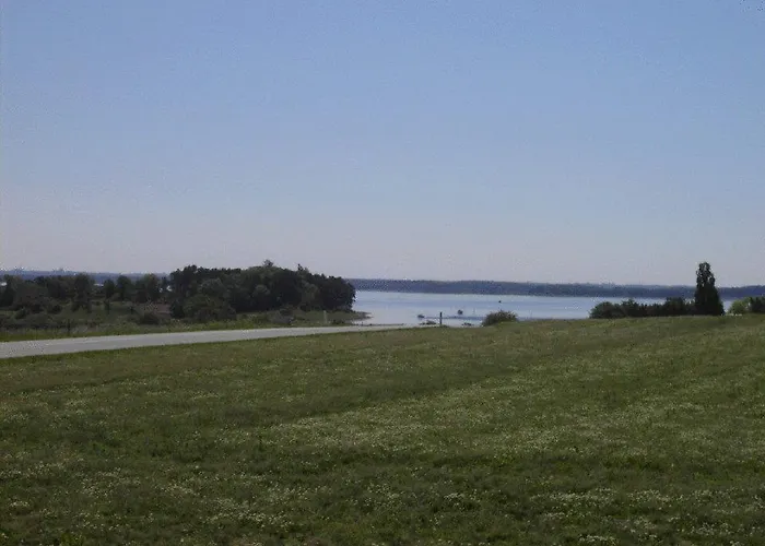 度假居 Bed And Birds *